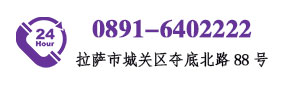 电话：0891-6402222